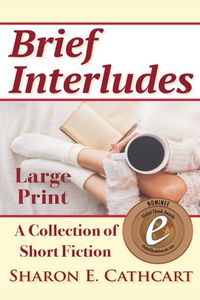 Produktbild: Brief Interludes (Large Print Edition)