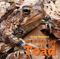 Produktbild: The Hidden Life of a Toad