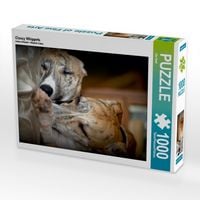 Produktbild: CALVENDO Puzzle Classy Whippets | 1000 Teile Lege-Gr&ouml;&szlig;e 64x48cm Foto-Puzzle f&uuml;r gl&uuml;ckliche Stunden