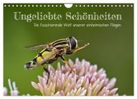 Produktbild: Ungeliebte Sch&ouml;nheiten - die faszinierende Welt unserer heimischen Fliegen (Wandkalender 2026 DIN A4 quer), CALVENDO Monatskalender