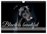 Produktbild: Black is beautiful (Wandkalender 2026 DIN A4 quer), CALVENDO Monatskalender
