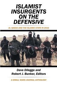 Produktbild: Islamist Insurgents on the Defensive