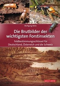 Produktbild: Die Brutbilder der wichtigsten Forstinsekten