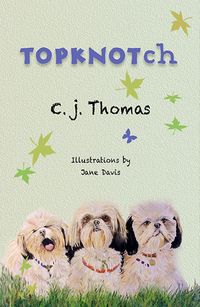 Produktbild: TopKnotch