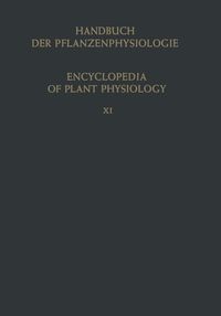 Produktbild: Heterotrophie / Heterotrophy