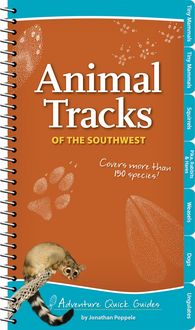 Produktbild: Animal Tracks of the Southwest