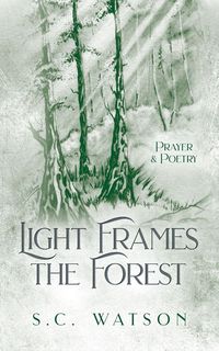 Produktbild: Light Frames the Forest