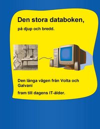 Produktbild: Den stora databoken, p&aring; djup och bredd.