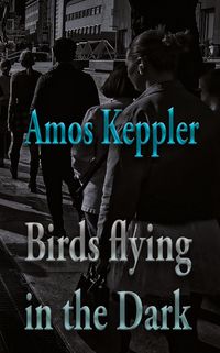 Produktbild: Birds Flying in the Dark