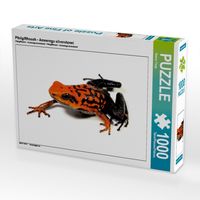 Produktbild: Pfeilgiftfrosch - Ameerega silverstonei (Puzzle)