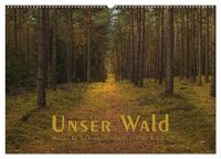 Produktbild: Unser Wald - Magische Sichten in norddeutsche W&auml;lder (Wandkalender 2027 DIN A2 quer), CALVENDO Monatskalender
