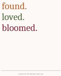 Produktbild: FoundLovedBloomed