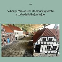 Produktbild: Viborg i Miniature: Danmarks glemte storhedstid i &oslash;jenh&oslash;jde