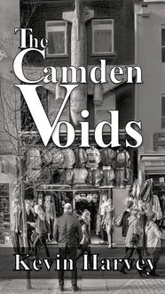 Produktbild: The Camden Voids