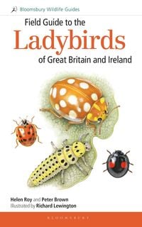 Produktbild: Field Guide to the Ladybirds of Great Britain and Ireland