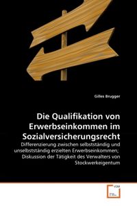 Produktbild: Brugger, G: Qualifikation von Erwerbseinkommen im Sozialvers