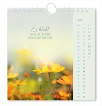 Postkartenkalender 2024 Lichtblicke