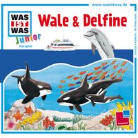 Bild vom Artikel WAS IST WAS Junior Hörspiel. Wale und Delfine vom Autor Bettina Brömme
