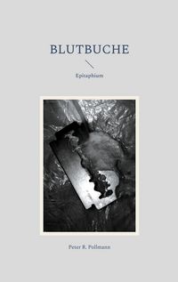 Produktbild: Blutbuche