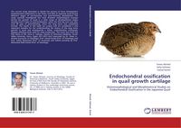 Produktbild: Endochondral ossification in quail growth cartilage