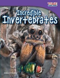 Produktbild: Incredible Invertebrates