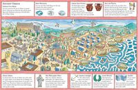Produktbild: The Amazeing Journey Through Time