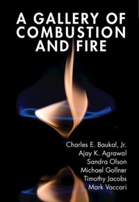 Produktbild: A Gallery of Combustion and Fire
