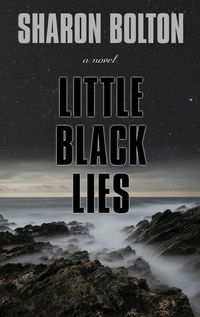 Produktbild: Little Black Lies