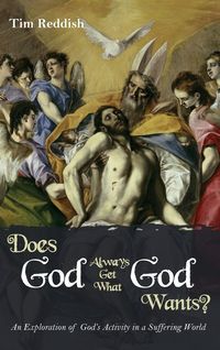 Produktbild: Does God Always Get What God Wants?