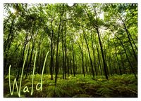 Produktbild: Wald (Wandkalender 2026 DIN A3 quer), CALVENDO Monatskalender