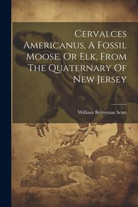 Produktbild: Cervalces Americanus, A Fossil Moose, Or Elk, From The Quaternary Of New Jersey
