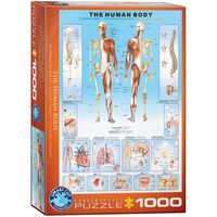 Bild vom Artikel Eurographics 6000-1000 - Der menschliche Körper , Puzzle, 1.000 Teile vom Autor 