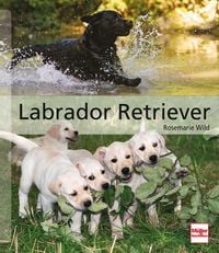 Bild vom Artikel Labrador Retriever vom Autor Rosemarie Wild