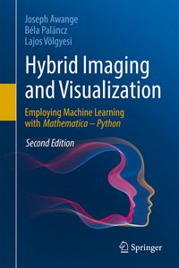 Produktbild: Hybrid Imaging and Visualization