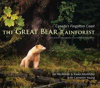Produktbild: Grt Bear Rainforest