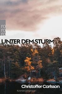 Produktbild: Unter dem Sturm