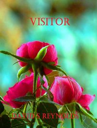 Produktbild: Visitor