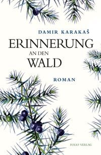 Produktbild: Erinnerung an den Wald