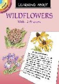 Produktbild: Learning About Wildflowers