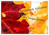 Produktbild: Ber&uuml;hrende Sch&ouml;nheit des Verg&auml;nglichen (Wandkalender 2026 DIN A4 quer), CALVENDO Monatskalender