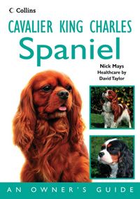 Produktbild: Mays, N: Cavalier King Charles Spaniel