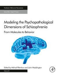 Produktbild: Modeling the Psychopathological Dimensions of Schizophrenia