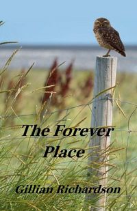 Produktbild: The Forever Place