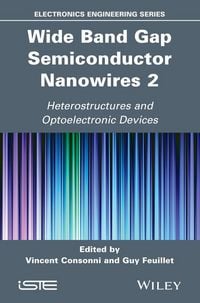 Produktbild: Wide Band Gap Semiconductor Nanowires 2