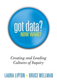 Produktbild: Got Data? Now What?