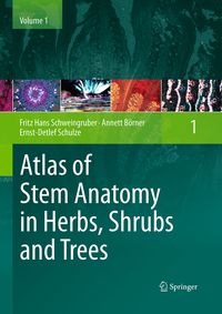 Produktbild: Atlas of Stem Anatomy in Herbs, Shrubs and Trees