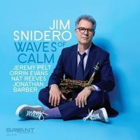 Bild vom Artikel Waves of Calm vom Autor Jim Snidero