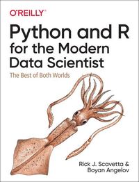 Produktbild: Python and R for the Modern Data Scientist