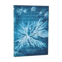 Produktbild: Notizbuch, Meeresblumen, Midi, Liniert