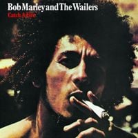 Produktbild: Catch A Fire (limited LP)